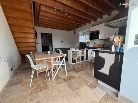 appartement duplex 50 m2 au sol
