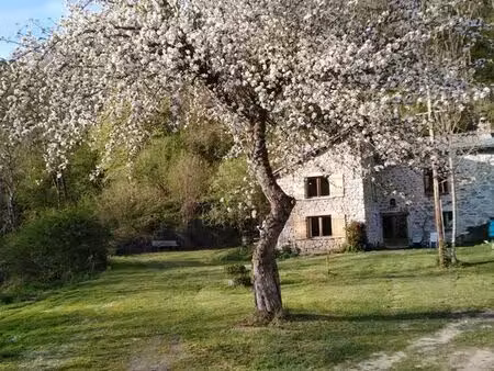 a vendre propriété de + de 9600m2 avec maison en pierres & renovee de 200m2renovee
