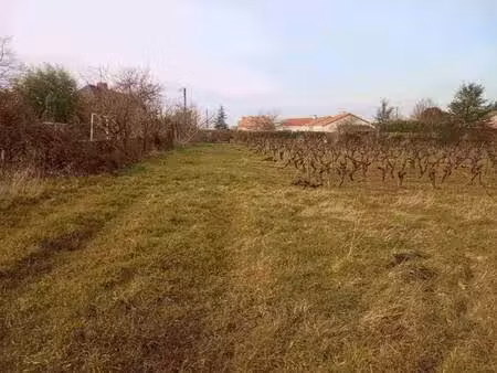 terrain constructible viabilisé à vendre