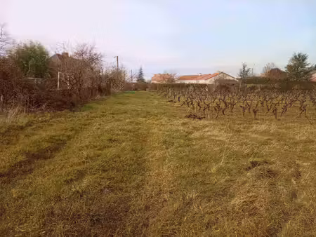 terrain constructible viabilisé à vendre