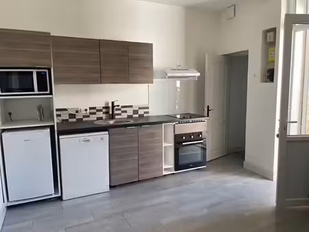 bordeaux-rue monsarrat. grand appartement d'une pièce principale avec terrasse