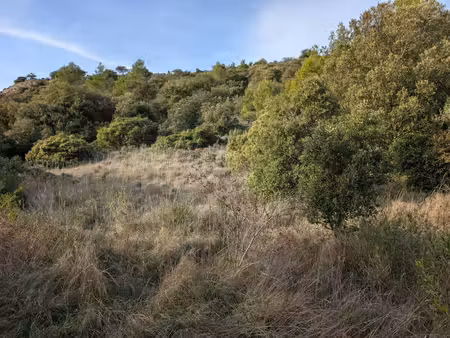 terrain constructible viabilisé à vendre