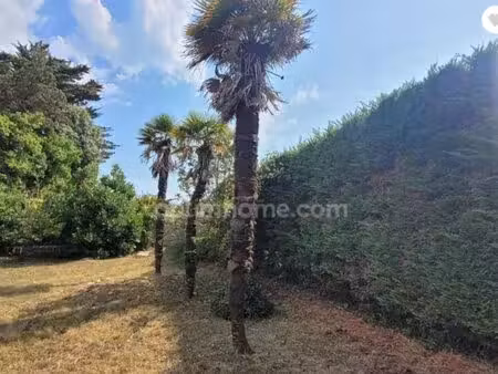 terrain à vendre le bois plage en re (17)
