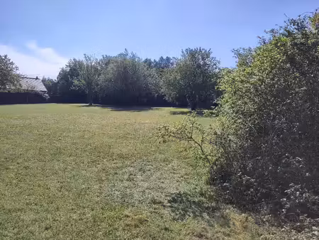 terrain à vendre