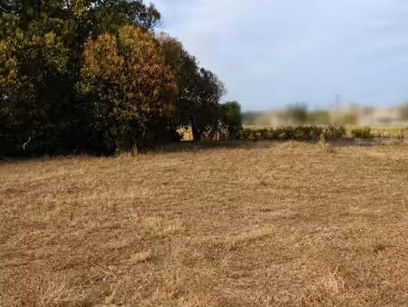 vend terrain 539m2