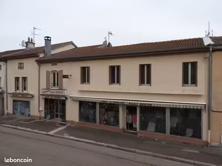 immeuble complet (ancien magasin + appartement)