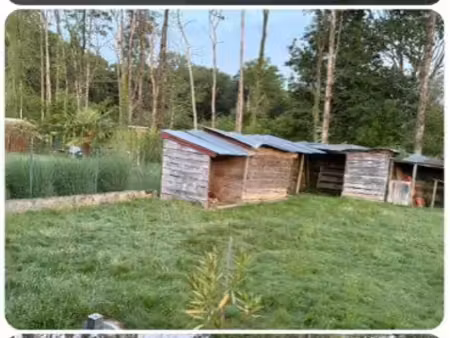 location maison en bordure de forêt
