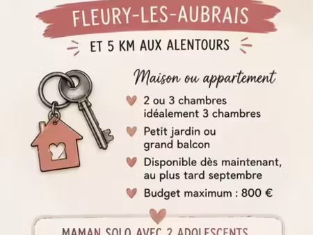 recherche maison fleury-les-aubrais