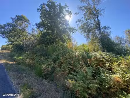 terrain 9990 m² billio