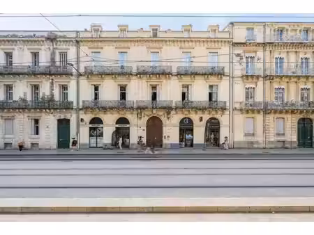 montpellier (34000) – studio – dernier étage – immeuble de standing – au pied du tram – id