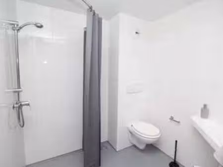 location appartement t1 meublé à saint-nazaire (44600) : à louer t1 meublé / 21m² saint-na
