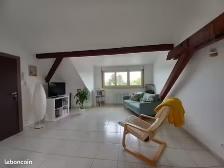 appartement t3 sausheim 80m2 traversant