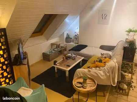 location appartement t2 - 50 m2