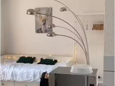 appartement 1 pièce 20 m²