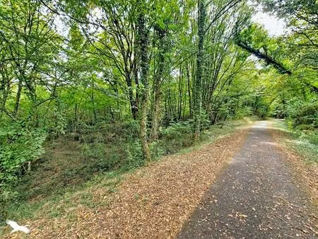vente terrain 81068 m² la sauve (33670)