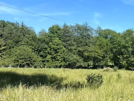 terrain à bâtir de 1 640 m² à 10 minutes de montreuil aux lions