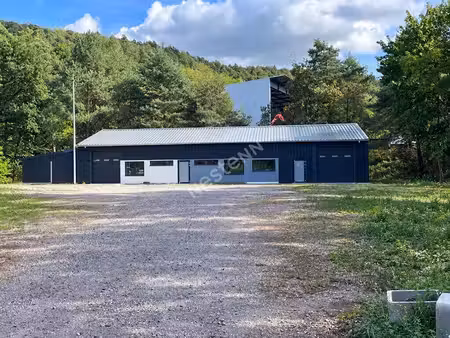 location bureaux saint-avold 57500 100m²
