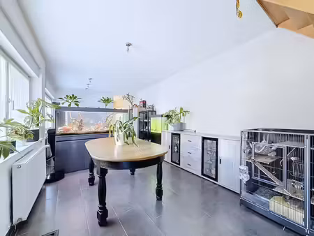maison à vendre avec terrasse et jardin   estaimpuis (vbe54355)