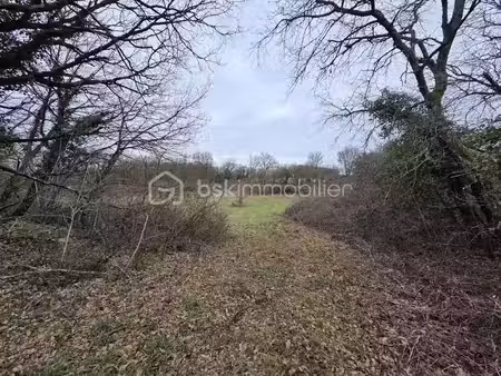 vente terrain 6260 m² à blanzay (86400)  11 000 €