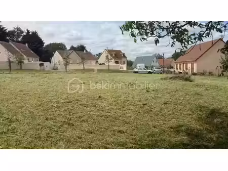 vente terrain 1095 m² à savigny-sur-clairis (89150)  43 000 €