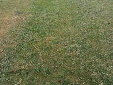 vente terrain à baud (56150) : à vendre / baud