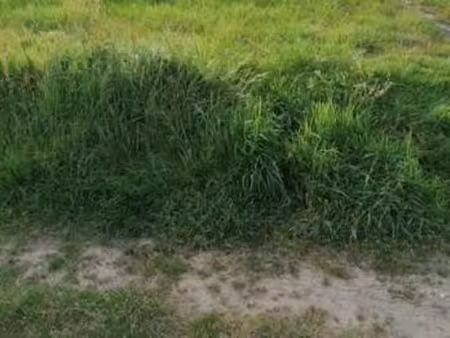 vente terrain à merlevenez (56700) : à vendre / merlevenez