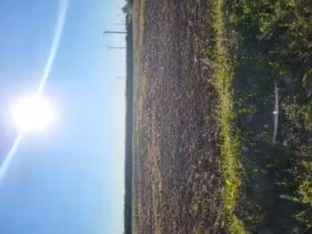 vente terrain à plouénan (29420) : à vendre / plouénan