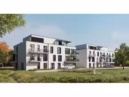 res koriander  evergem