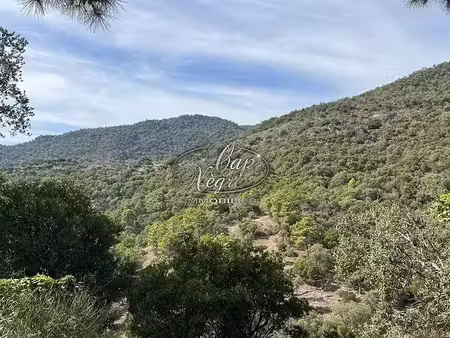terrain