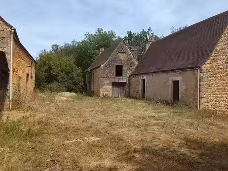 vente maison 1 pièce 100 m² à vezac (24220)  160 000 €