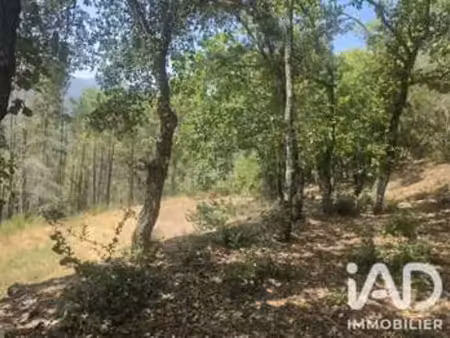 vente terrain à reynès (66400) : à vendre / 17774m² reynès