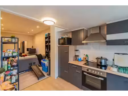 appartement rez-de-chaussée à gand
