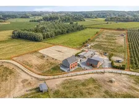 asse – instapklare woning met stallen op 1 8 ha