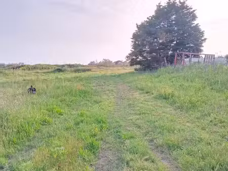 terrain à louer