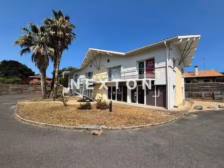 nexton immobilier