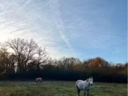 prairie à louer