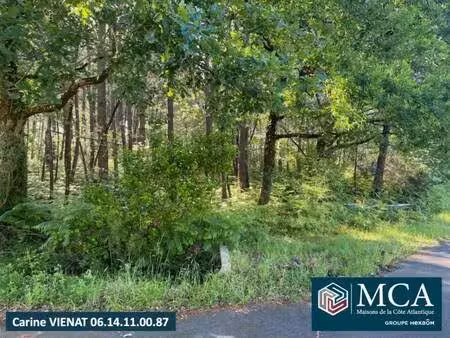 terrain constructible viabilisé à vendre