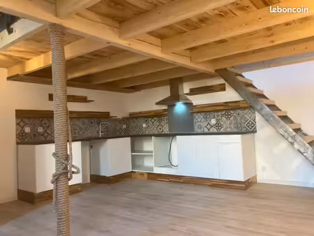 appartement t2 mezzanine duplex 45m2 chutes lavies