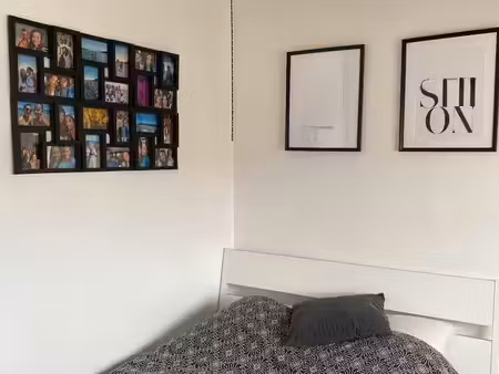 appartement à louer - logement étudiant