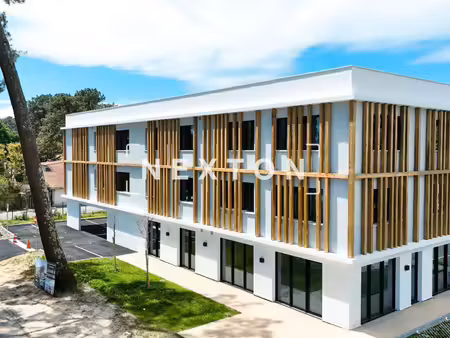nexton immobilier