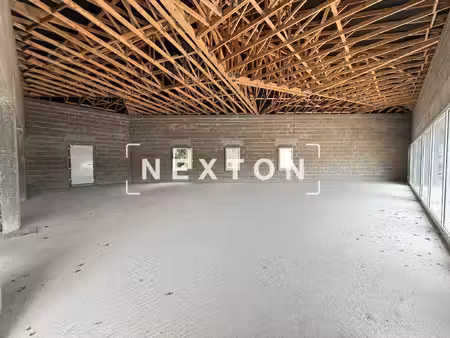 nexton immobilier