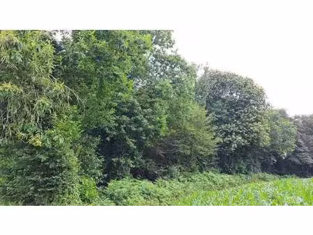 terrain à vendre