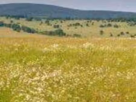terrain constructible viabilisé à vendre