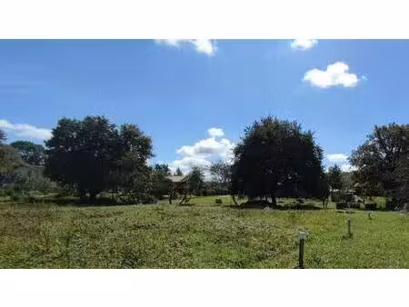 terrain constructible à vendre