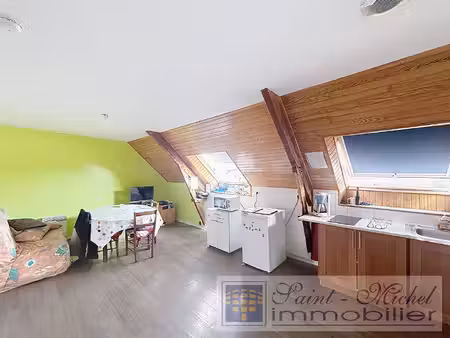 saint michel immobilier