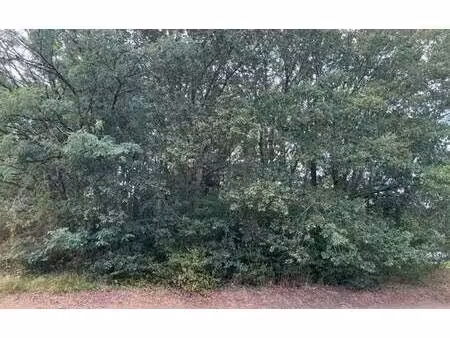 terrain constructible à vendre - neuf