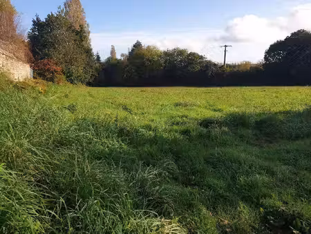 terrain constructible viabilisé à vendre