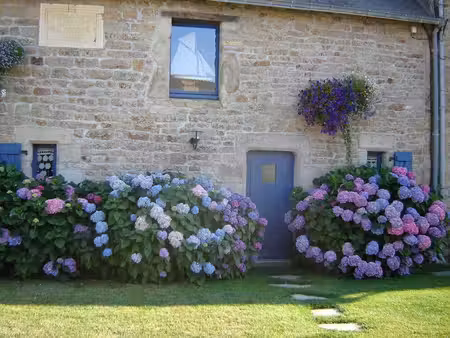 maison à louer