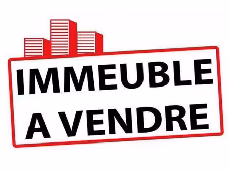 immeuble à vendre
