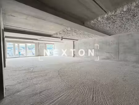 nexton immobilier